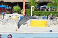 DSC_0220.JPG