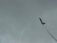 P1100026.JPG