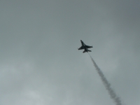 P1100029.JPG