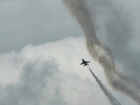 P1100032.JPG