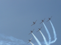 P1100096.JPG