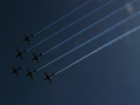 P1100097.JPG