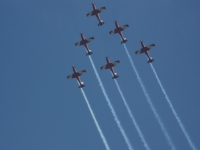 P1100103.JPG
