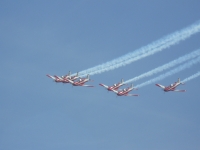 P1100105.JPG