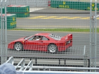 P1100174.JPG