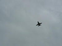 P1100186.JPG