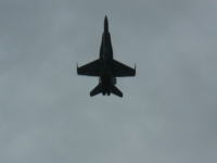 P1100195.JPG