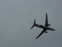 P1100223.JPG