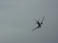P1100224.JPG
