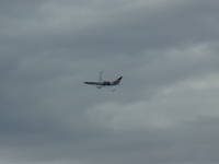 P1100225.JPG