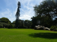 P1100660.JPG