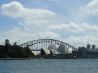 P1100690.JPG