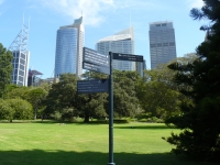 P1100719.JPG
