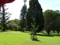 P1100721.JPG