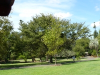 P1100724.JPG
