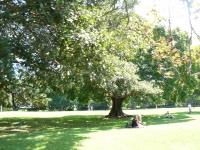 P1100726.JPG