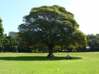 P1100727.JPG