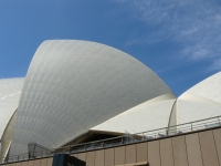 P1100739.JPG