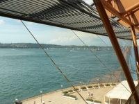 P1100755.JPG