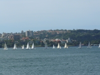 P1100741.JPG