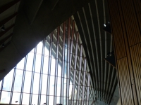 P1100771.JPG