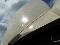 P1100774.JPG