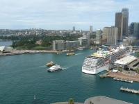 P1110008.JPG