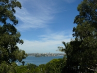 P1100438.JPG