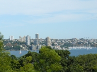 P1100545.JPG