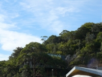 P1100617.JPG