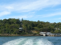 P1100618.JPG