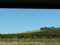 P1110337.JPG