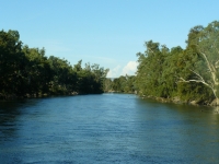 P1110341.JPG