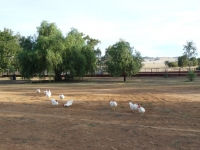 P1110387.JPG