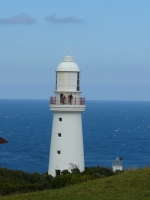 P1110627.JPG