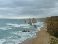 P1110741.JPG