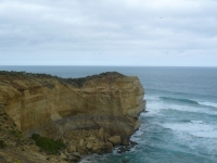 P1110746.JPG