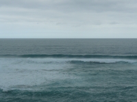 P1110787.JPG