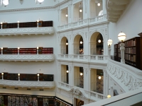 P1110541.JPG