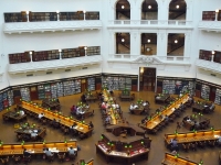 P1110542.JPG