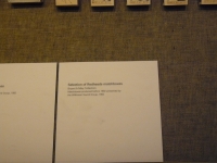 P1110551.JPG