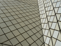 P1100776.JPG