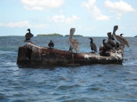 DSCN0375.JPG