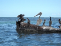 DSCN0380.JPG