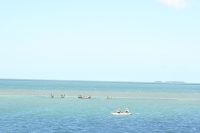 IMG_4227.JPG