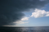 IMG_8927.JPG