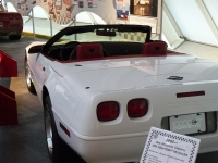 P1010253.JPG