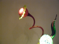 P1090258.JPG